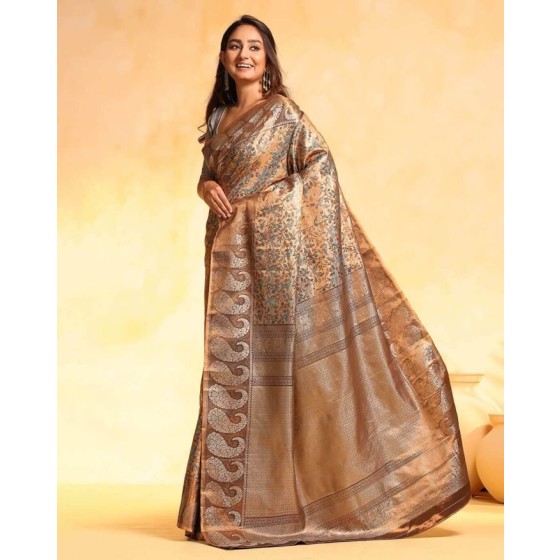 Embroidered Georgette Saree