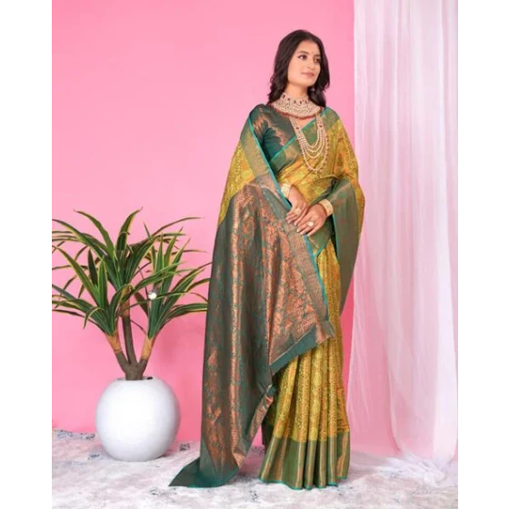 Embroidered Organza Saree with Scalloped Hem